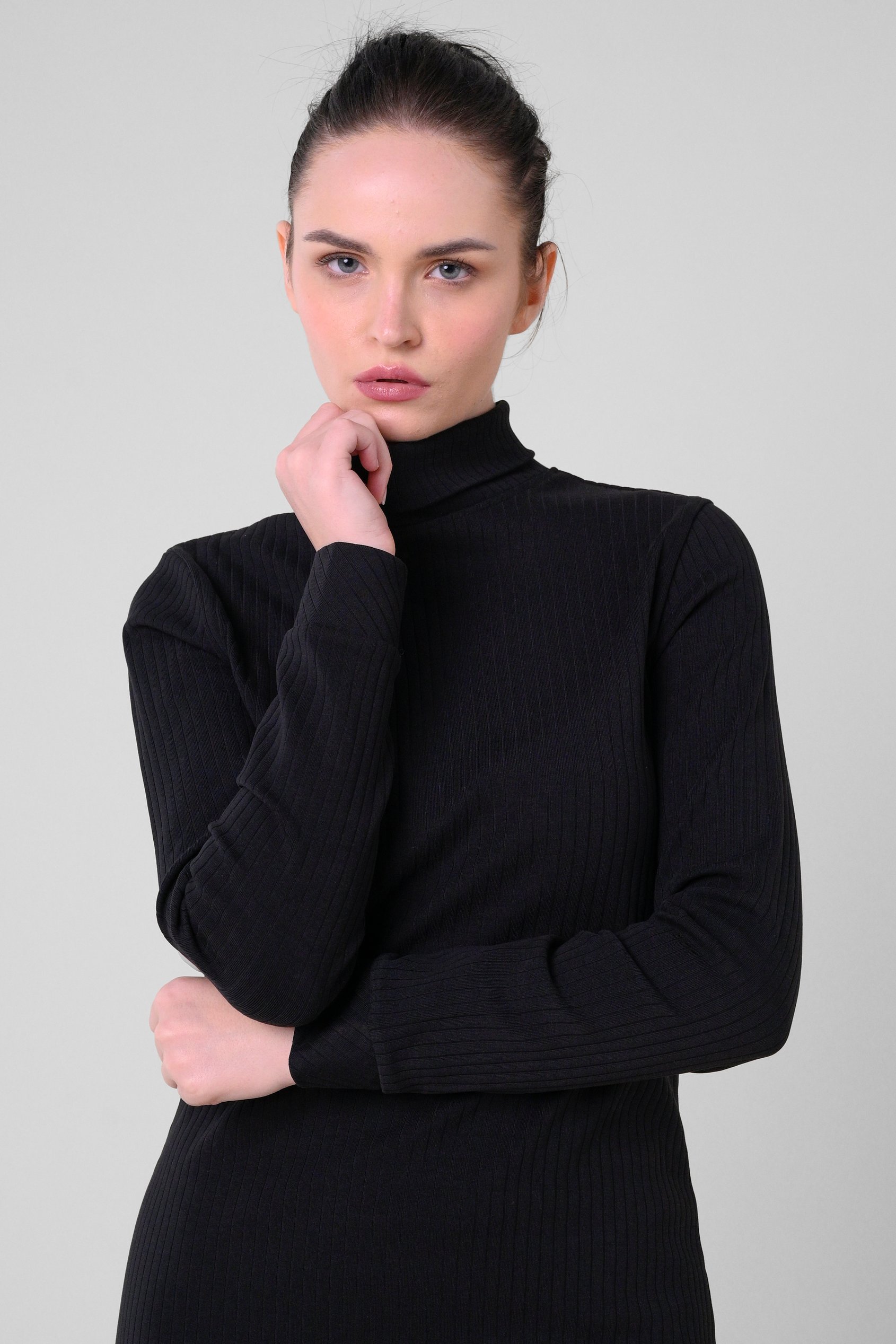 Ribbed Roll Neck Long Sleeve Mini Dress