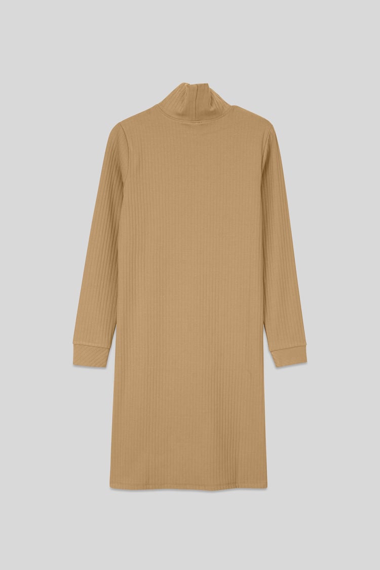 Ribbed Roll Neck Long Sleeve Mini Dress