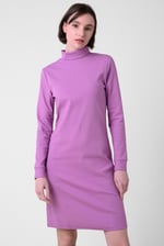 Ribbed Roll Neck Long Sleeve Mini Dress