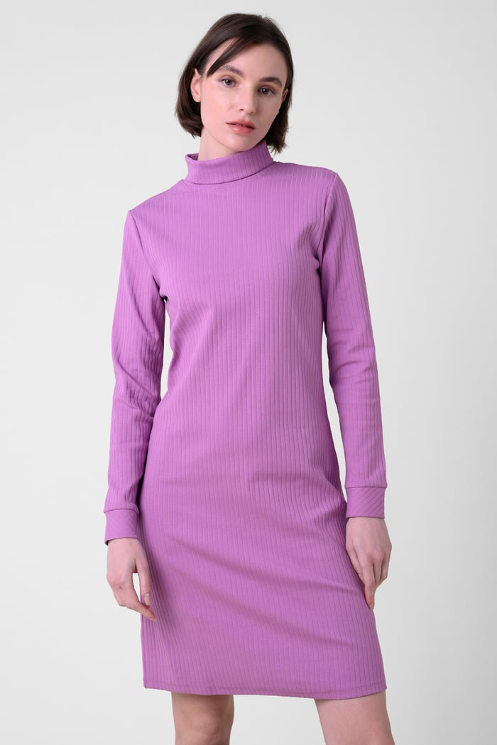 Ribbed Roll Neck Long Sleeve Mini Dress
