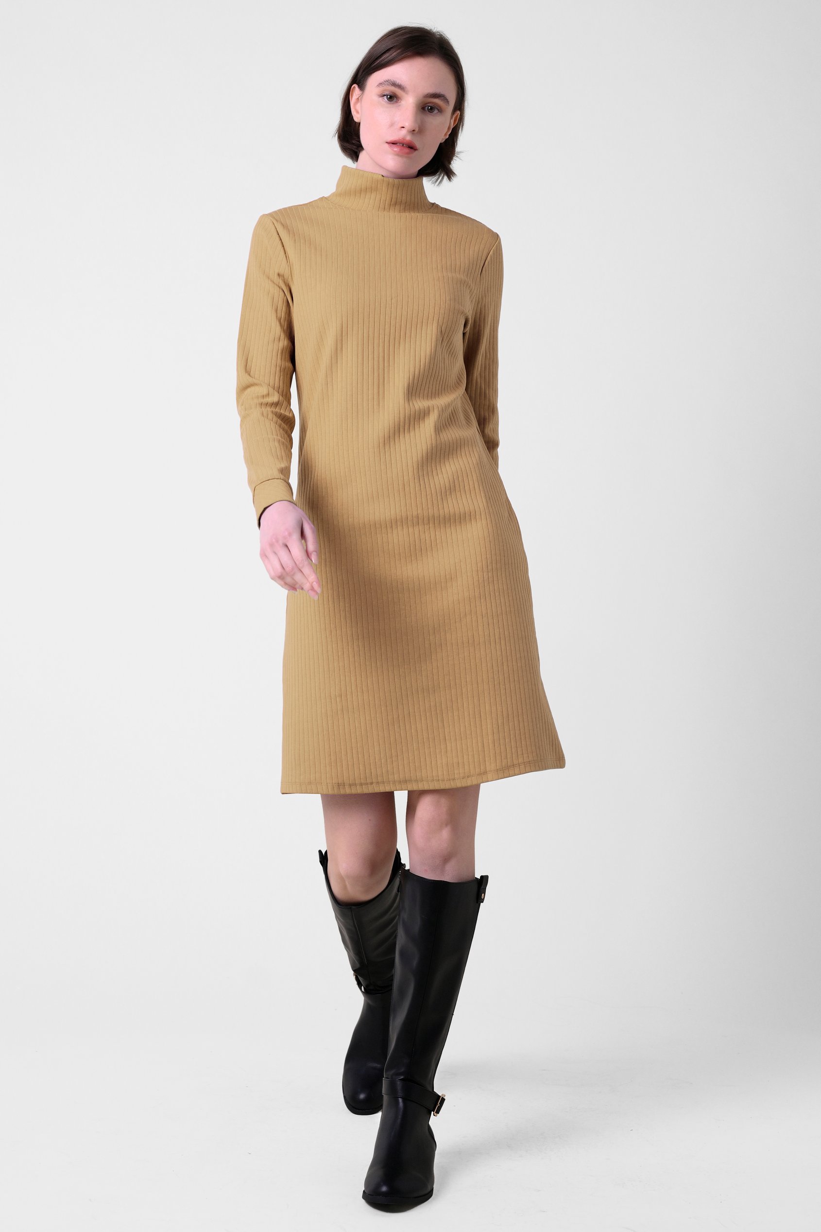 Ribbed Roll Neck Long Sleeve Mini Dress