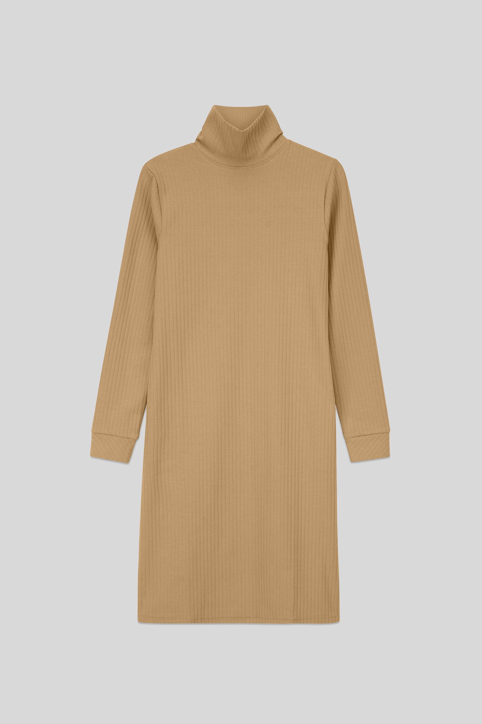 Ribbed Roll Neck Long Sleeve Mini Dress