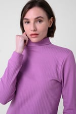 Ribbed Roll Neck Long Sleeve Mini Dress