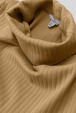 Ribbed Roll Neck Long Sleeve Mini Dress