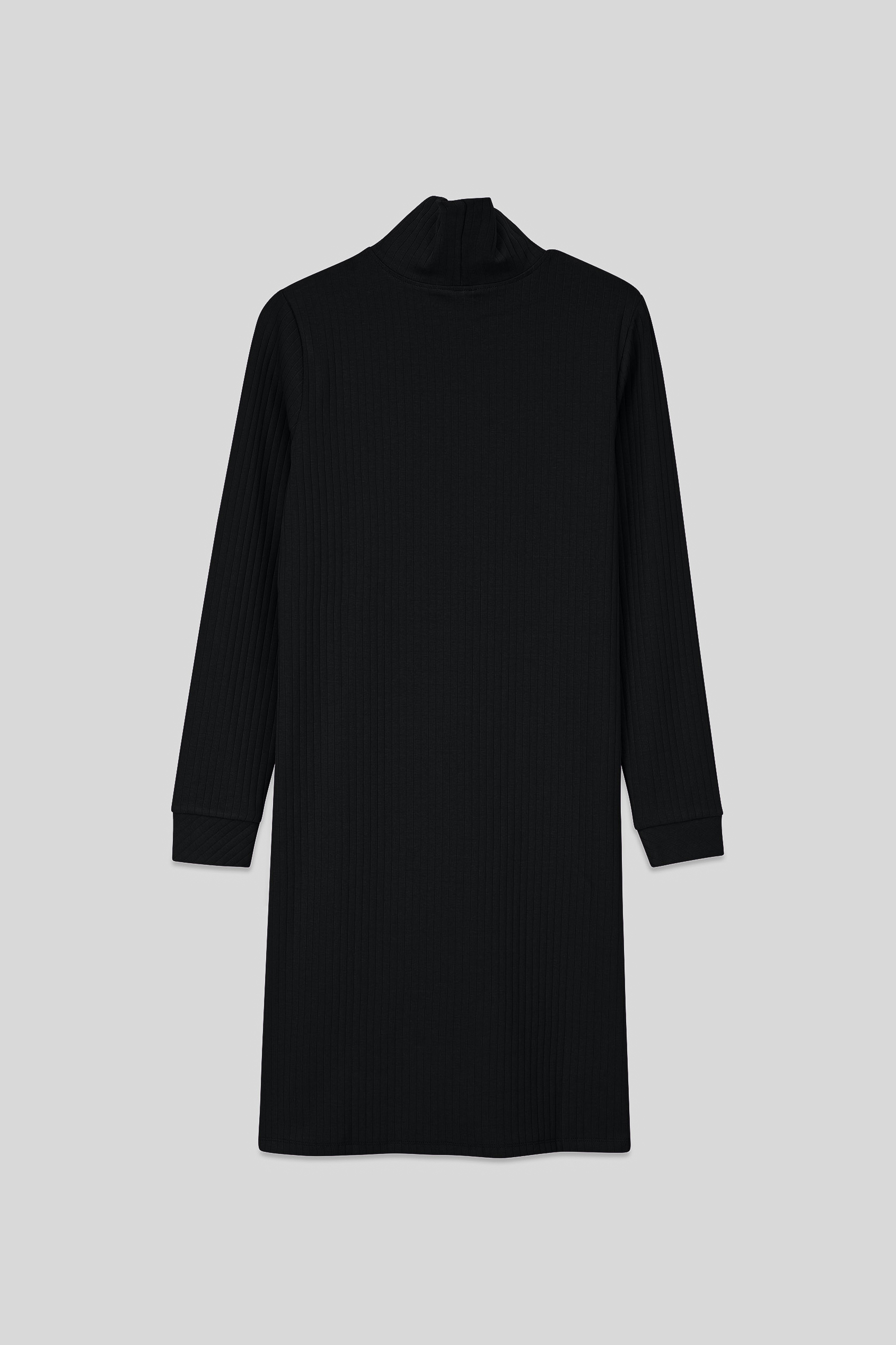 Ribbed Roll Neck Long Sleeve Mini Dress