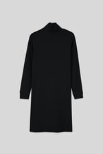 Ribbed Roll Neck Long Sleeve Mini Dress