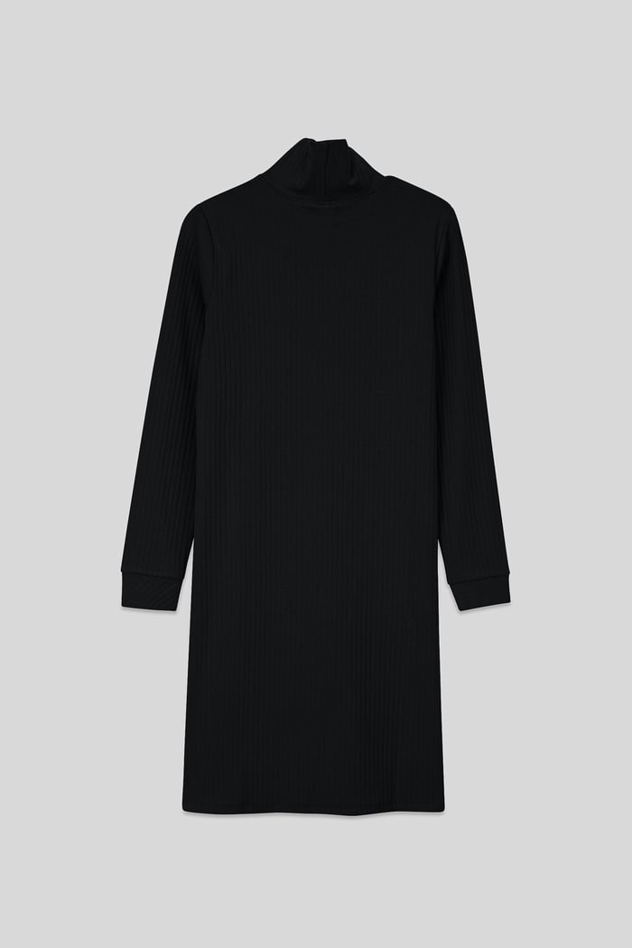 Ribbed Roll Neck Long Sleeve Mini Dress