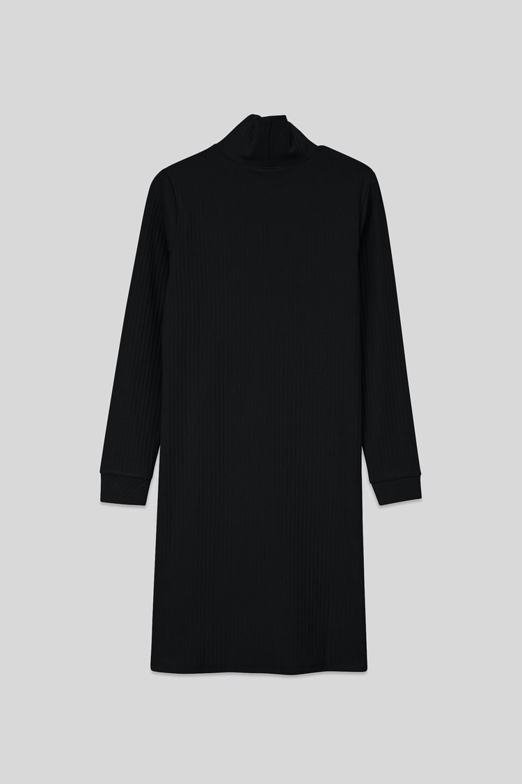 Ribbed Roll Neck Long Sleeve Mini Dress