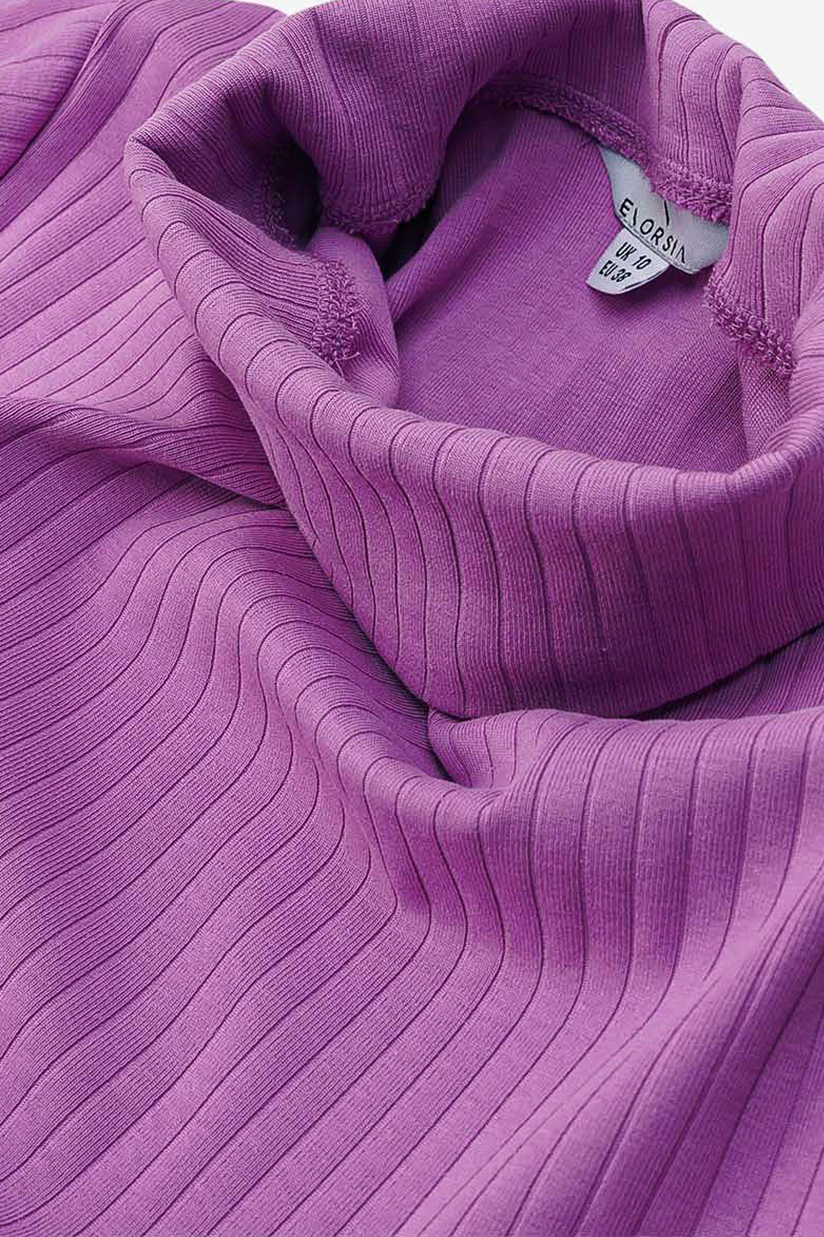 Ribbed Roll Neck Long Sleeve Mini Dress