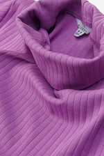 Ribbed Roll Neck Long Sleeve Mini Dress