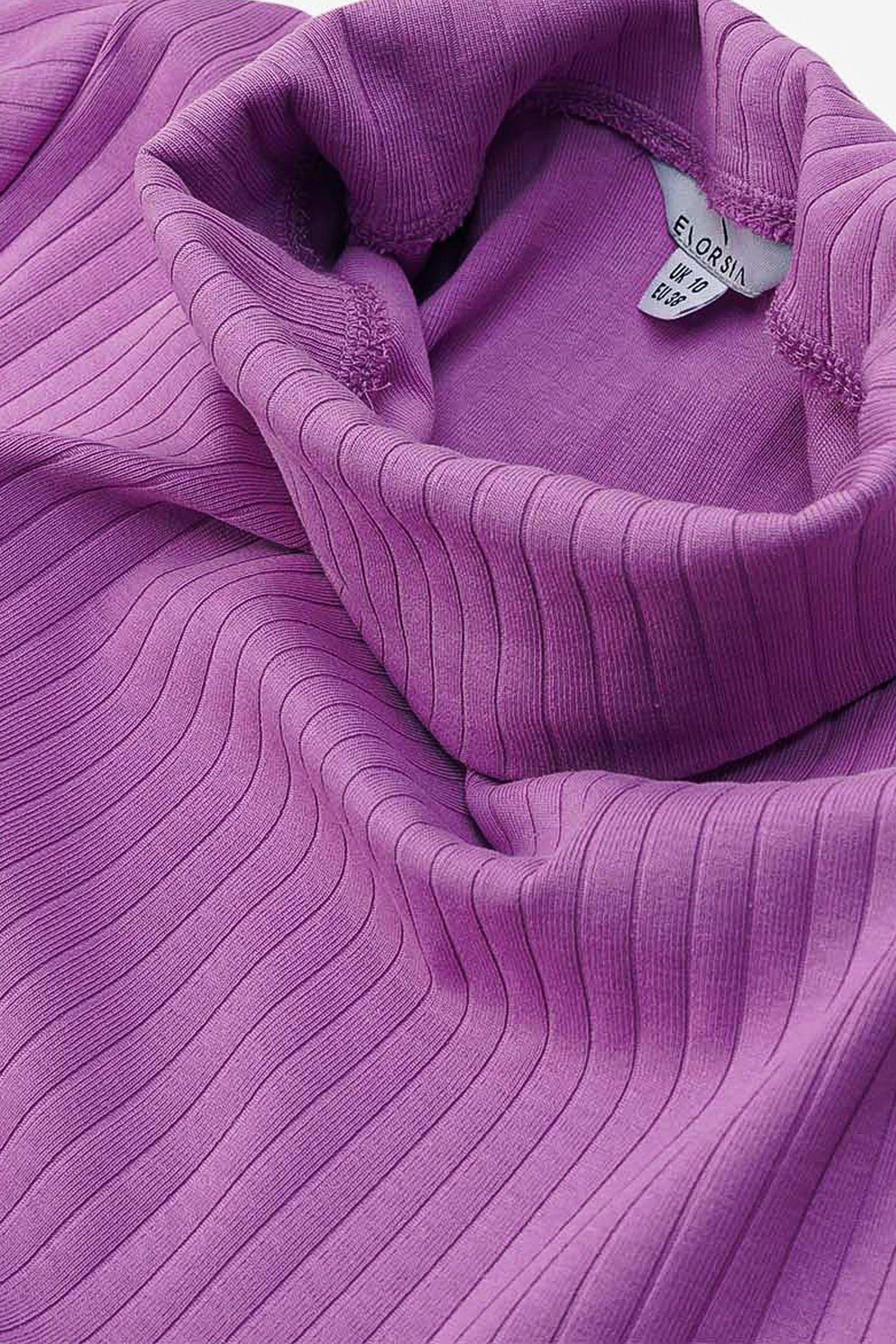 Ribbed Roll Neck Long Sleeve Mini Dress