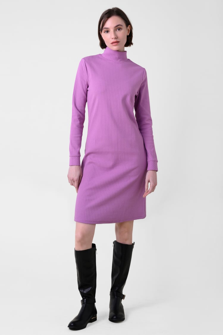 Ribbed Roll Neck Long Sleeve Mini Dress