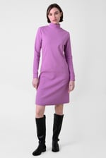Ribbed Roll Neck Long Sleeve Mini Dress