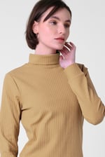 Ribbed Roll Neck Long Sleeve Mini Dress