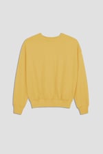 Ribbed Hem Cropped Sweatshirt