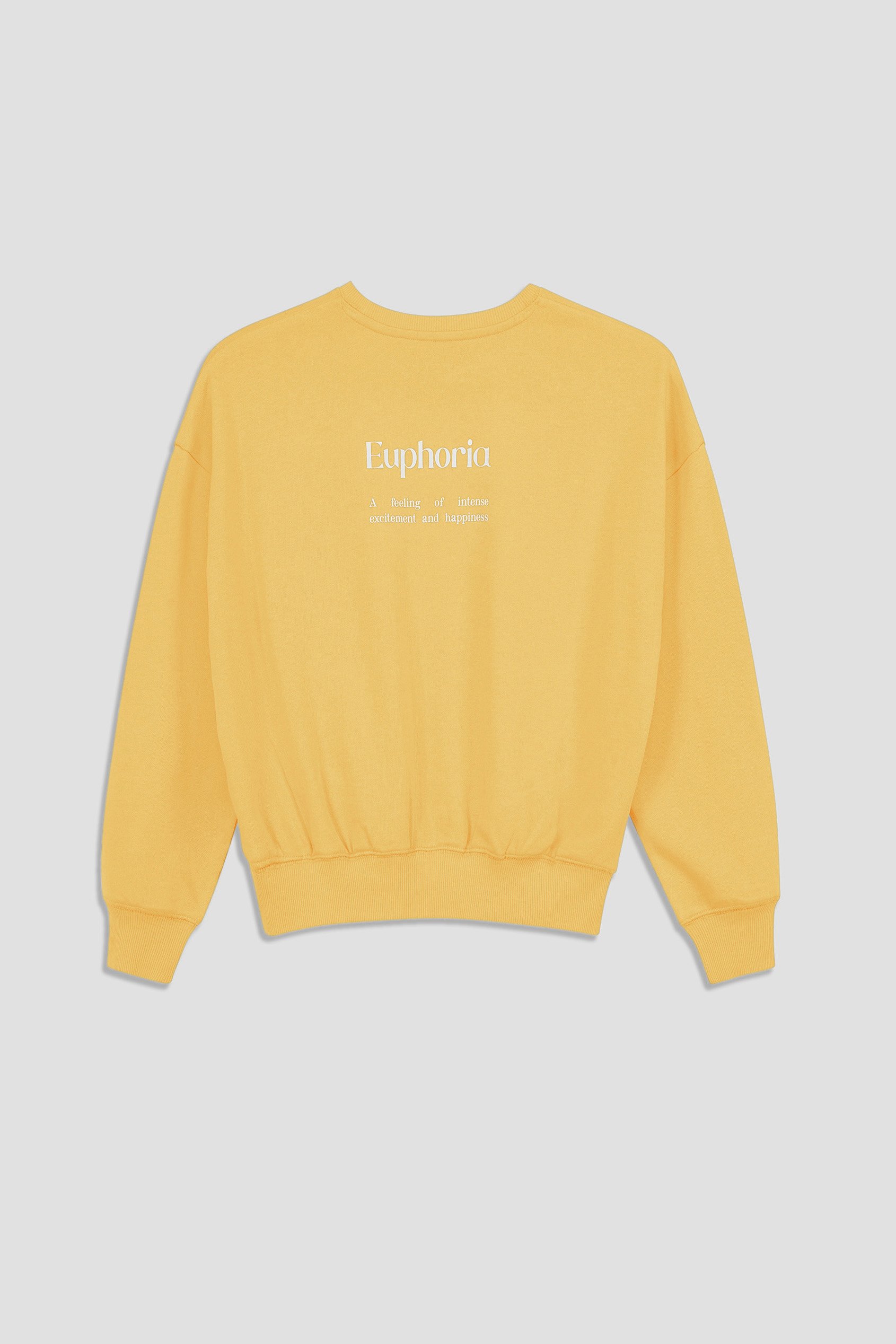 Ribbed Hem Cropped Sweatshirt