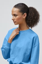 Ribbed Hem Cropped Sweatshirt