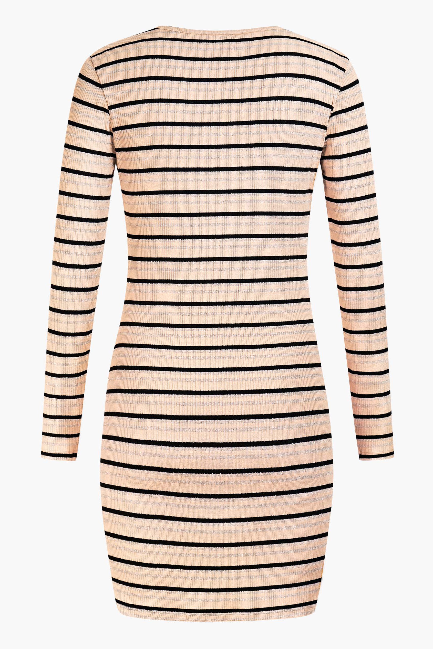 Long Sleeve Rib Jersey V- Neck Mini Dress