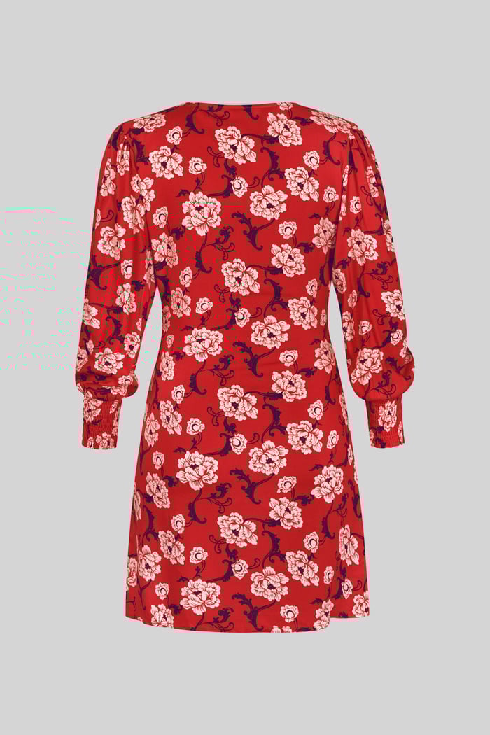 Printed V-Neck Mini Dress With Puff Sleeves and Smock Details