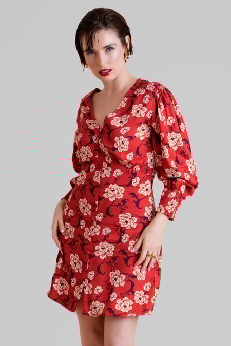 Red Printed V-Neck Mini Dress With Puff Sleeves and Smock Details