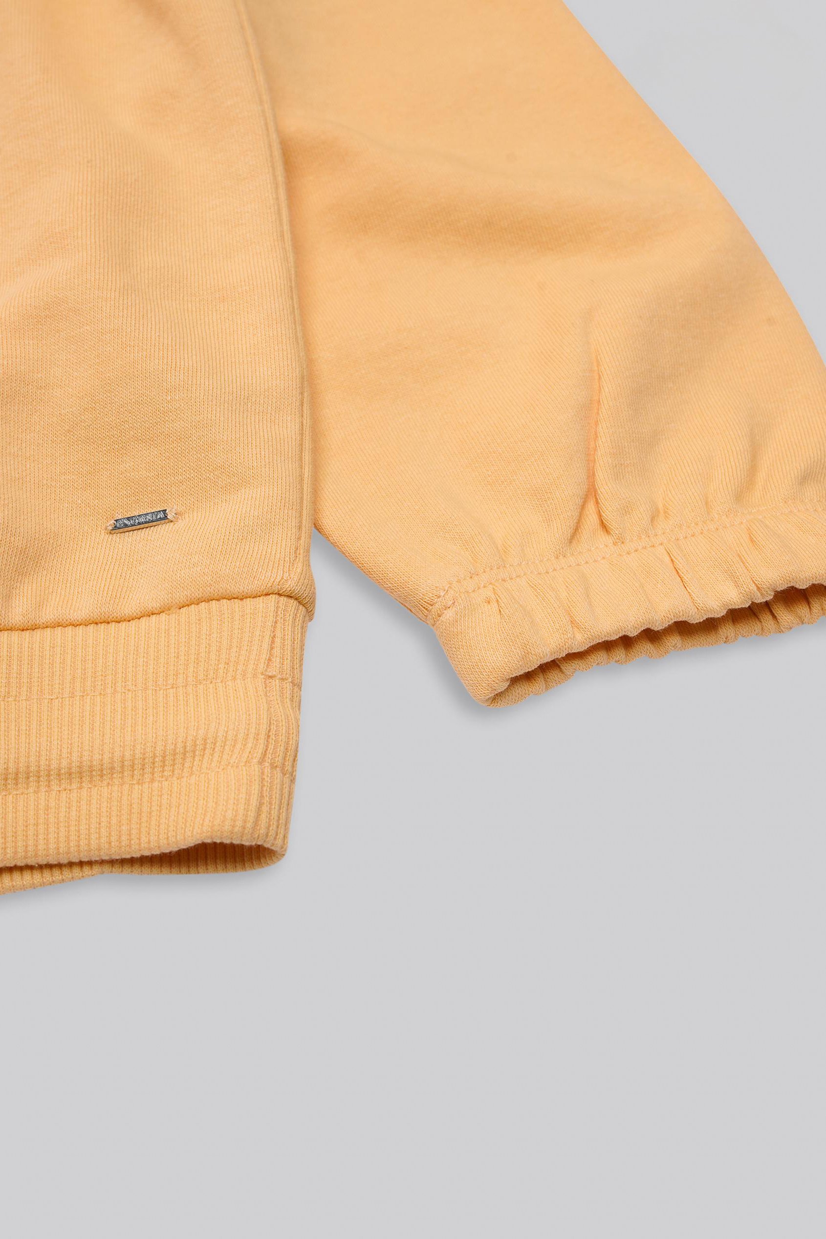 Half Zip High Neck Embroidery Sweatshirt