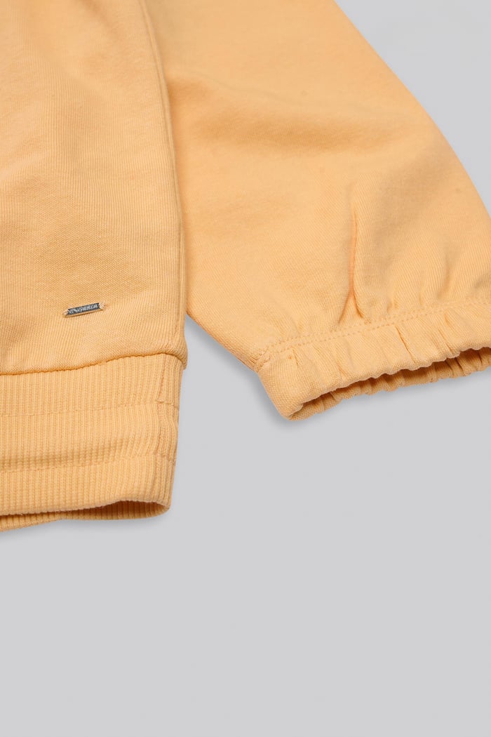 Half Zip High Neck Embroidery Sweatshirt