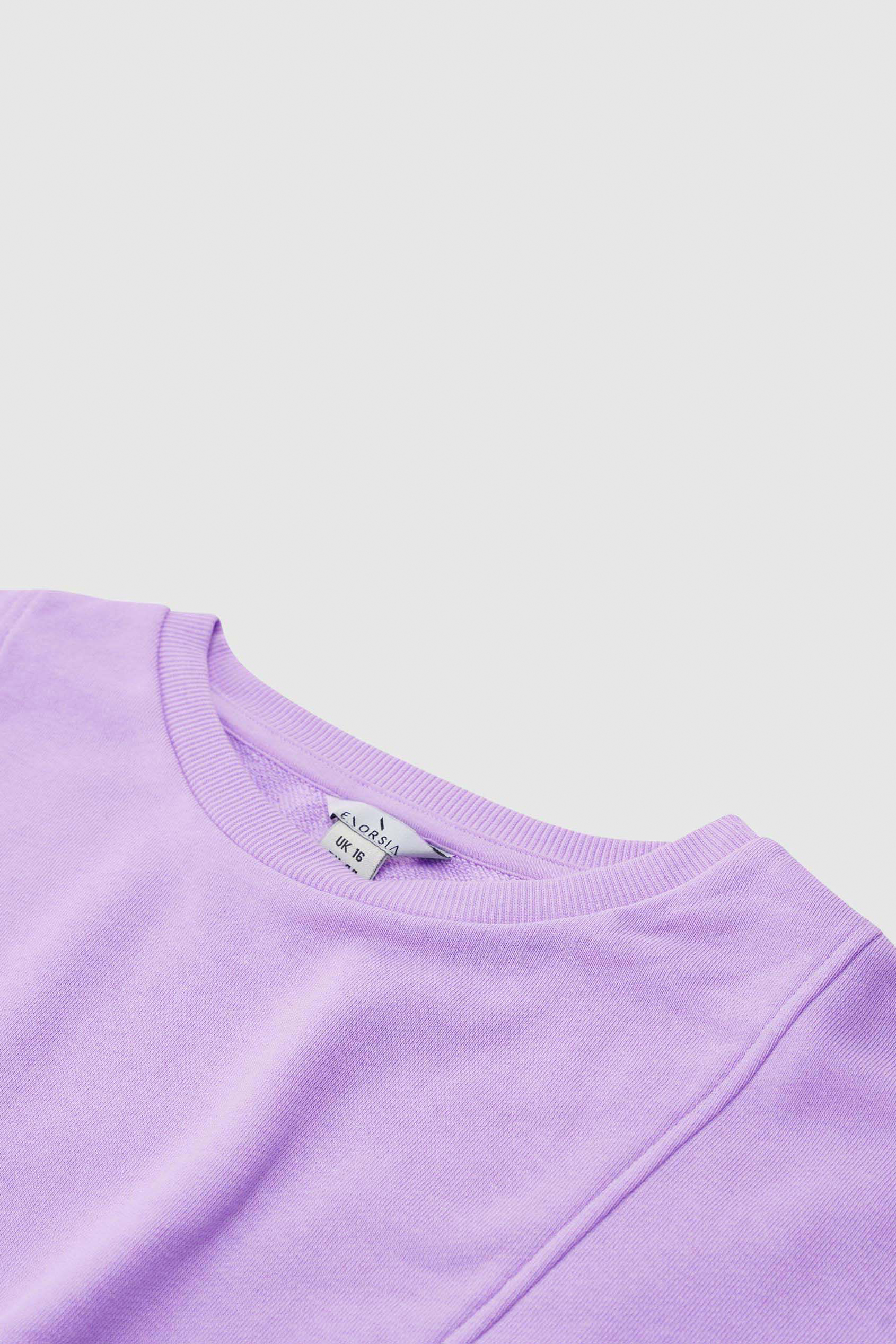 Womens Crop Top Sweatshirt