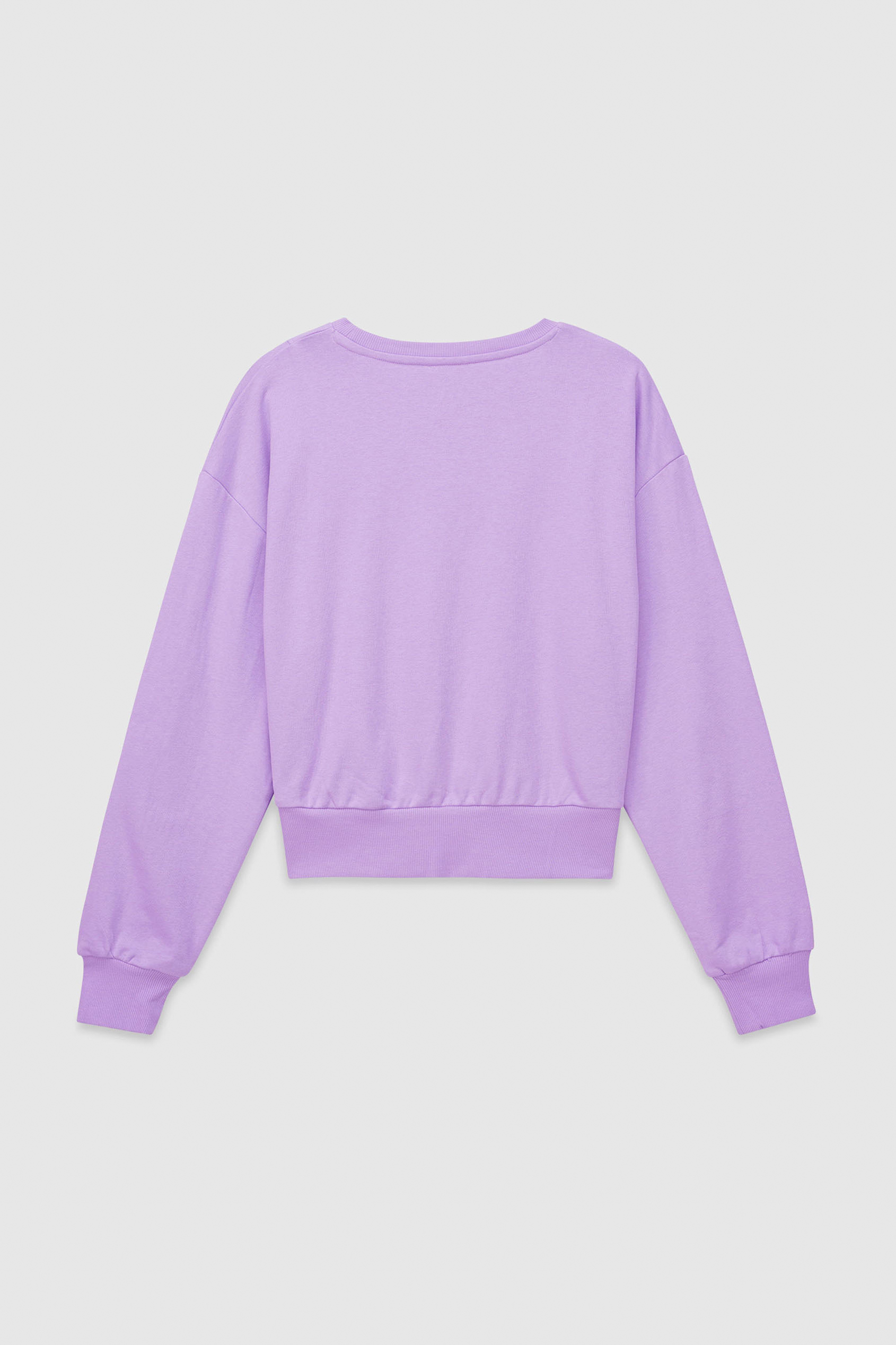 Womens Crop Top Sweatshirt