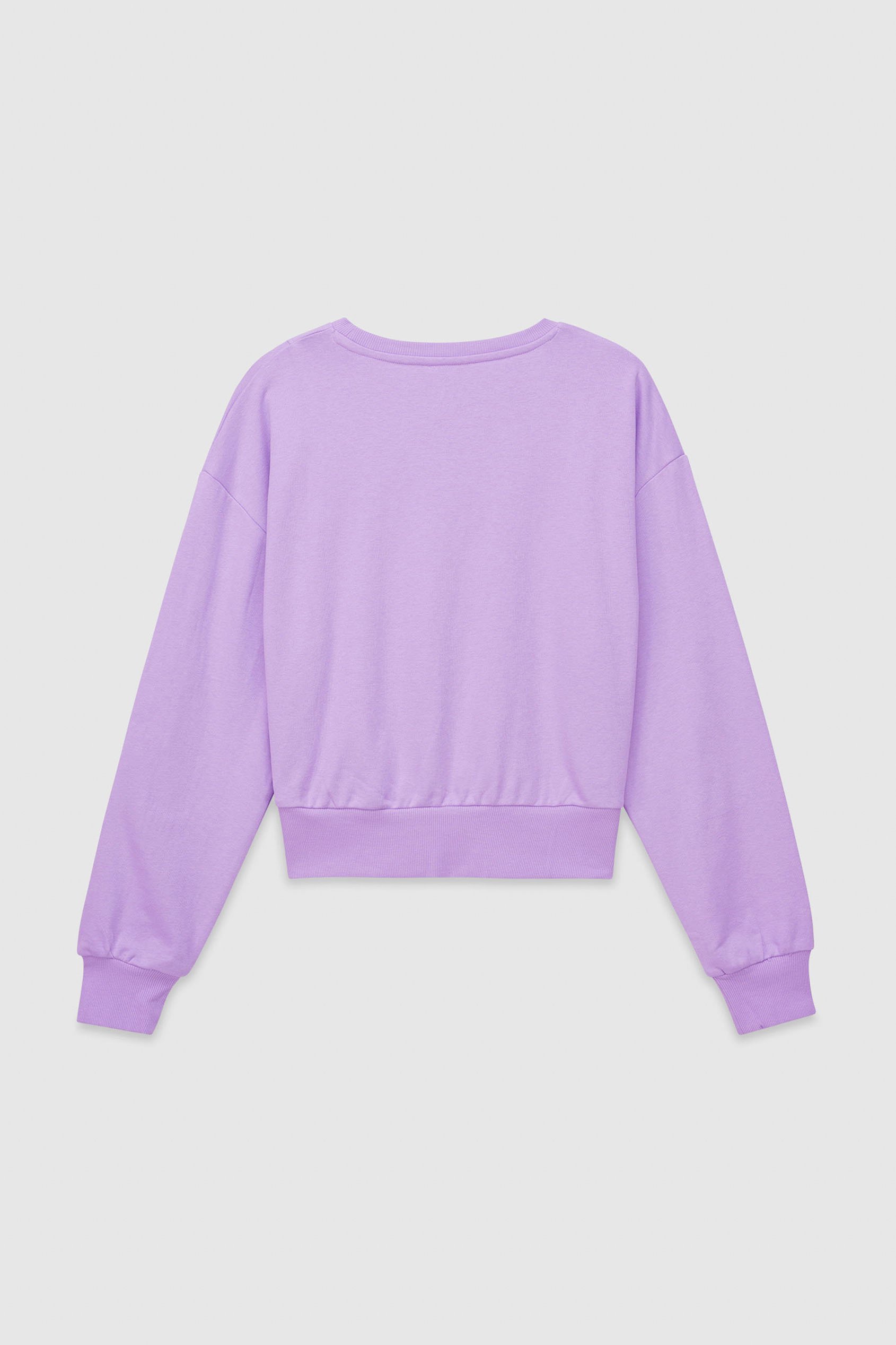 Womens Crop Top Sweatshirt