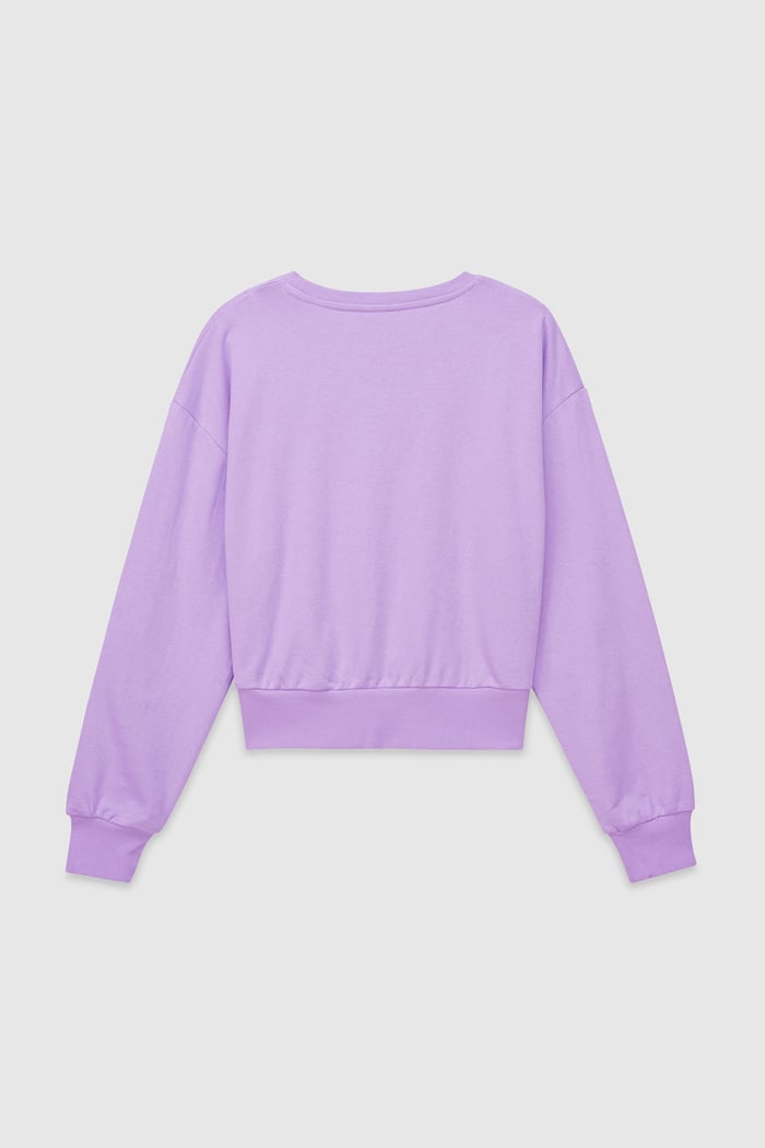 Womens Crop Top Sweatshirt