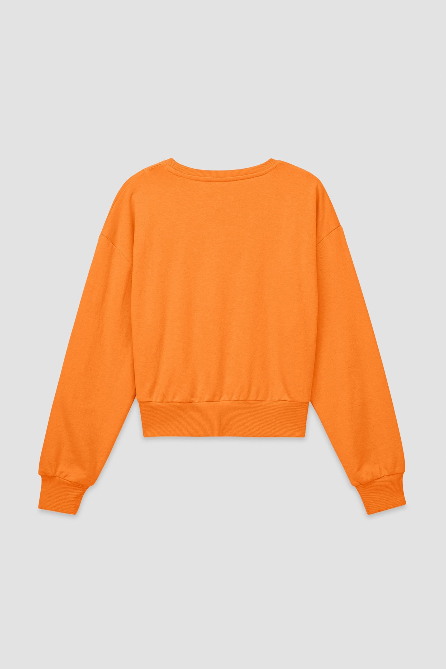 Womens Crop Top Sweatshirt