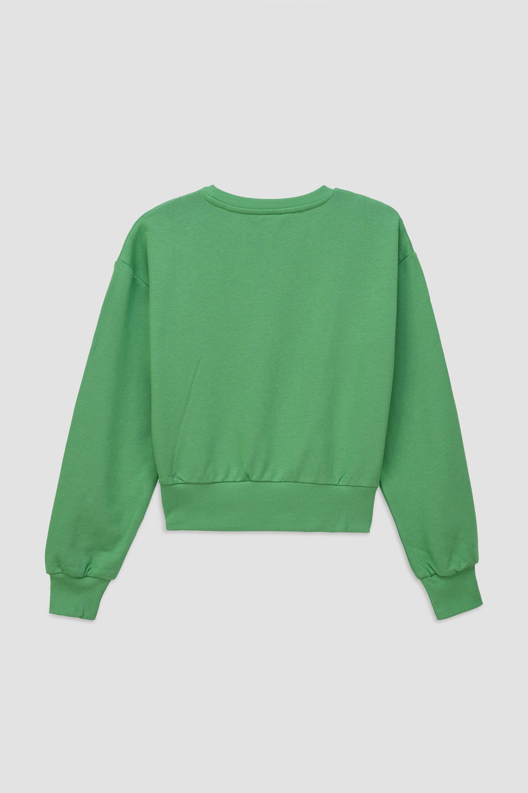 Womens Crop Top Sweatshirt