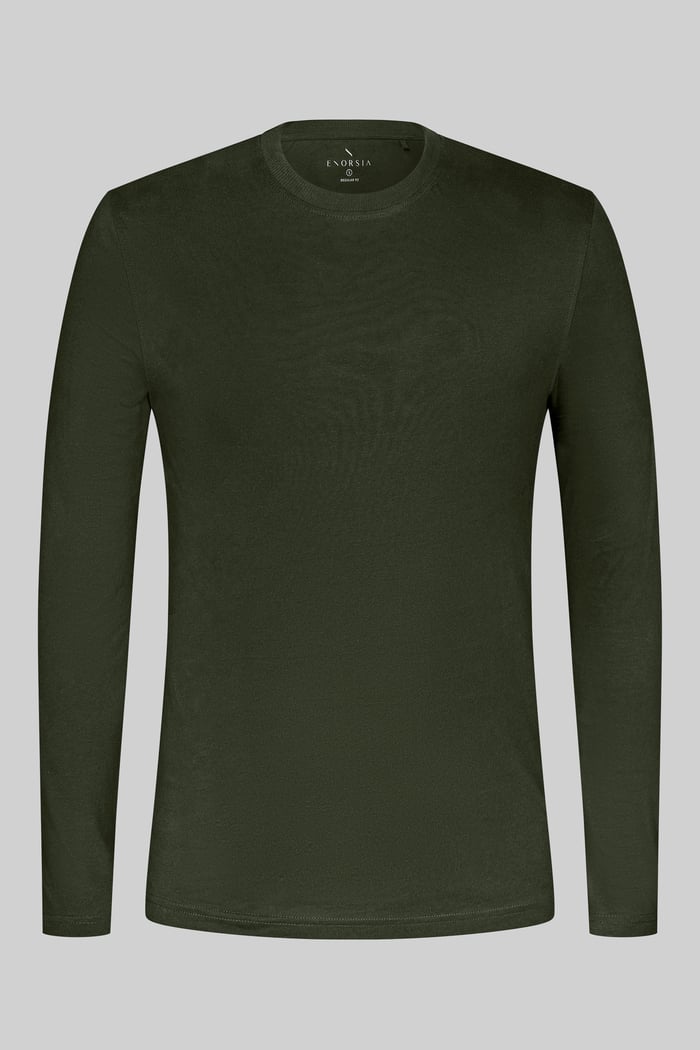 Regular Fit Long Sleeve T-Shirt 2 Pack