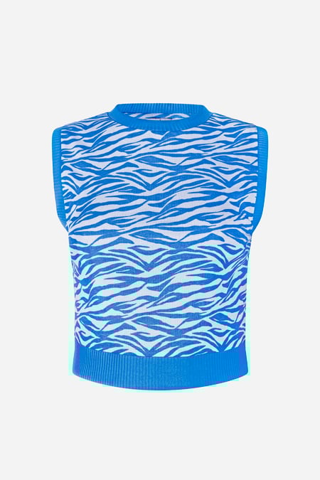 Blue Zebra Printed Top