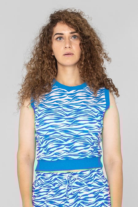 Blue Zebra Printed Top
