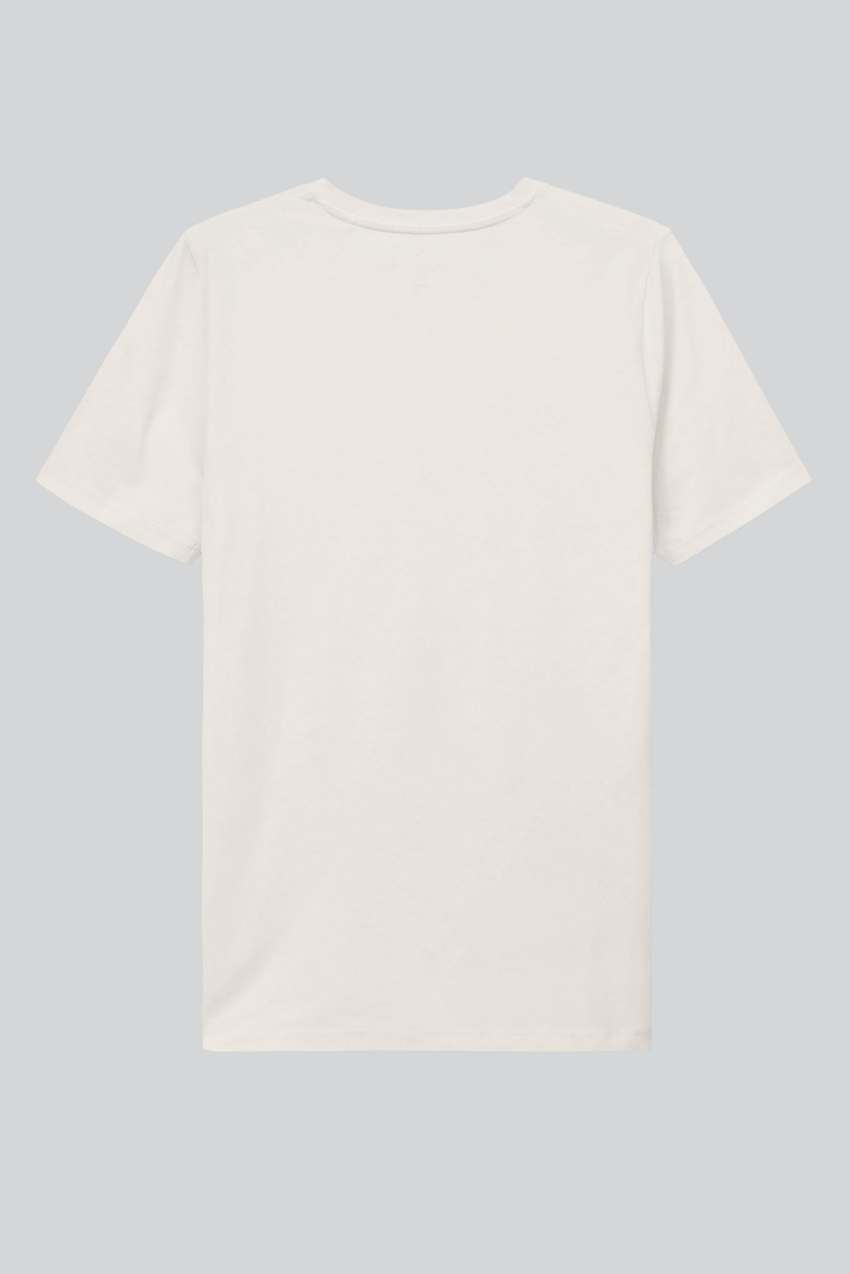 V-Neck T-Shirt