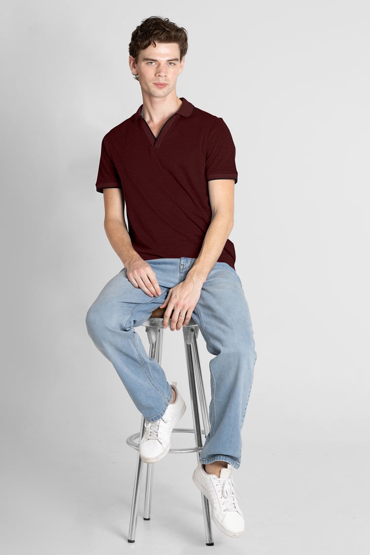 Regular Fit Ribbed V-Neck Polo Shirt