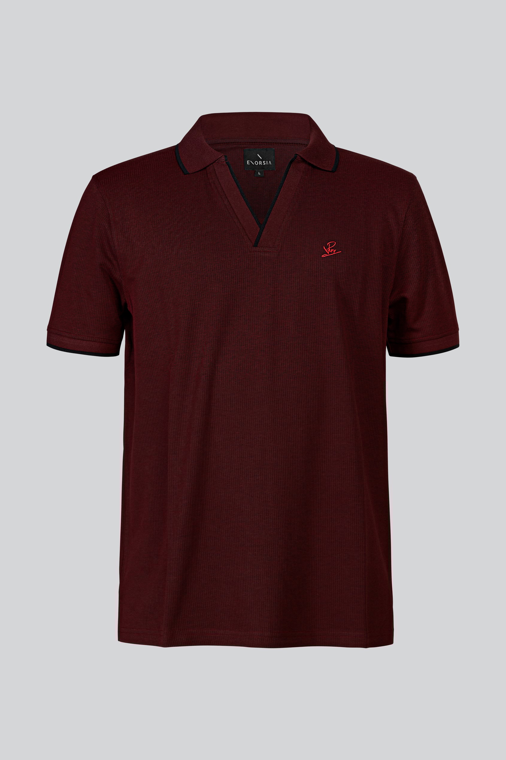 Regular Fit Ribbed V-Neck Polo Shirt