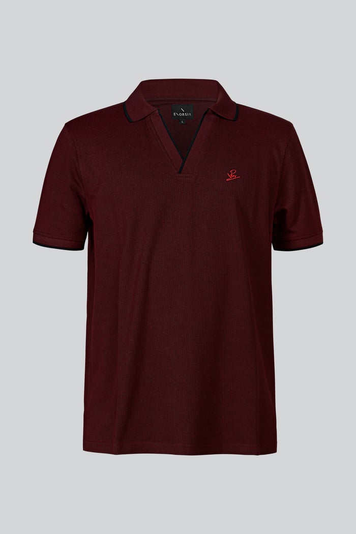 Regular Fit Ribbed V-Neck Polo Shirt