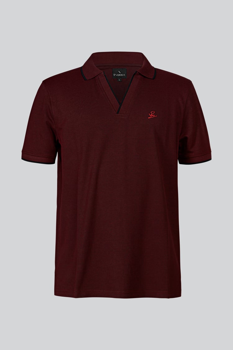 Regular Fit Ribbed V-Neck Polo Shirt