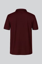 Regular Fit Ribbed V-Neck Polo Shirt