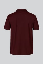 Regular Fit Ribbed V-Neck Polo Shirt
