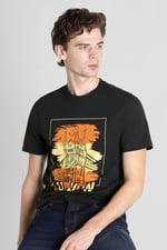 100% Cotton Graphic T-Shirt 3 Pcs Pack