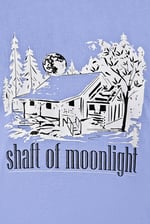 100% Cotton Graphic T-Shirt 3 Pcs Pack