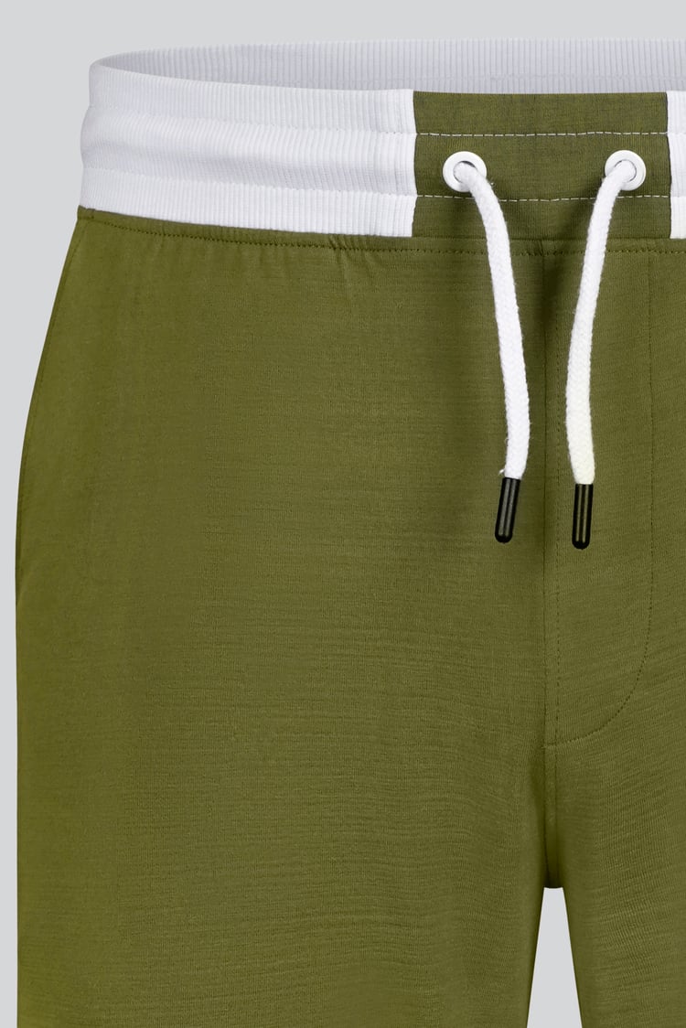 Contrast Waistband Regular Fit Shorts