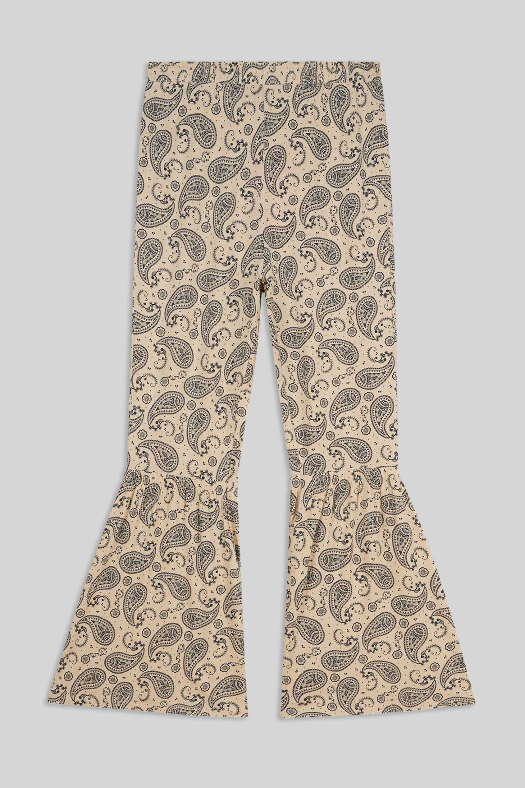 Paisley Printed Flared Sharara Pant