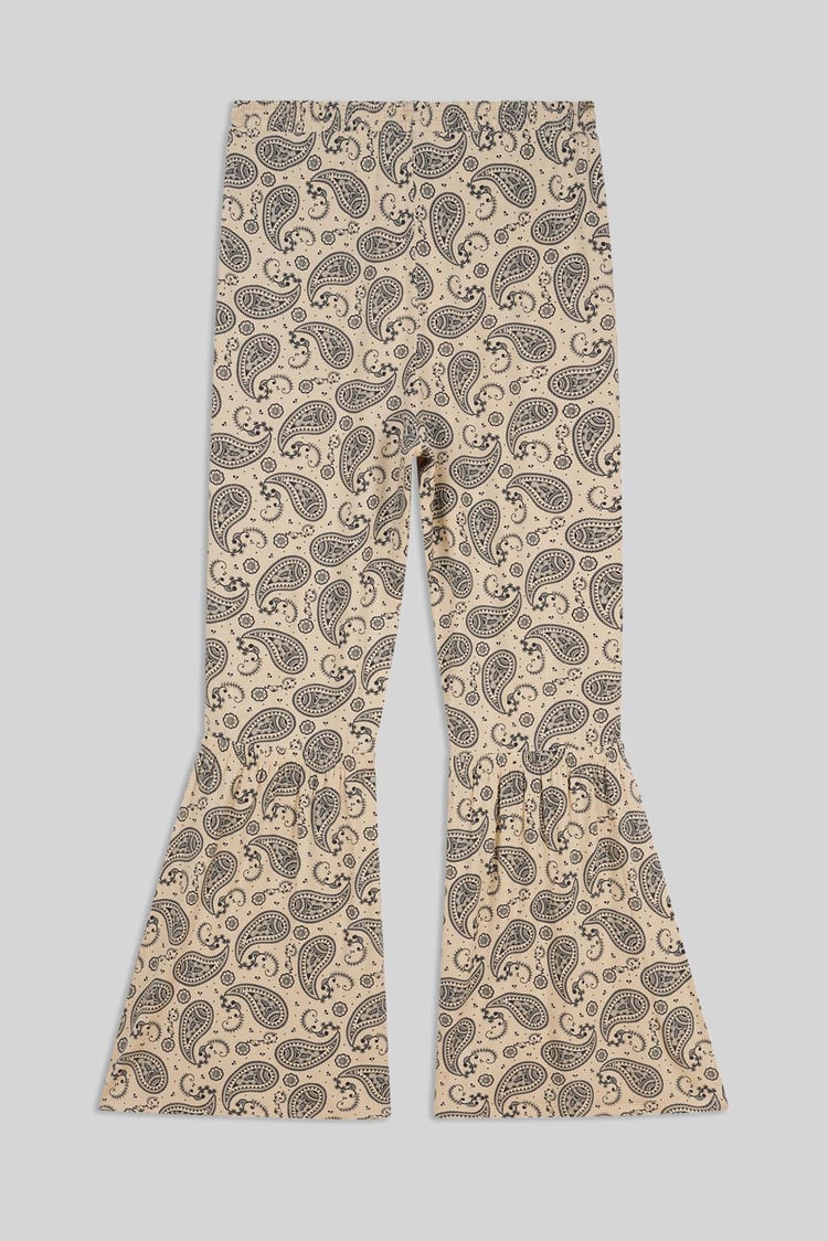 Paisley Printed Flared Sharara Pant