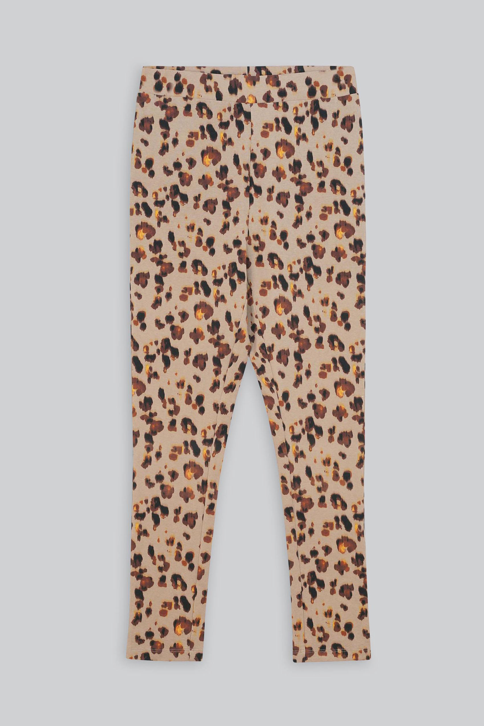 Leopard Print Regular length Leggings