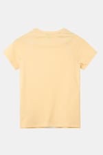 Patch Print Short Sleeve Raglan T-shirts