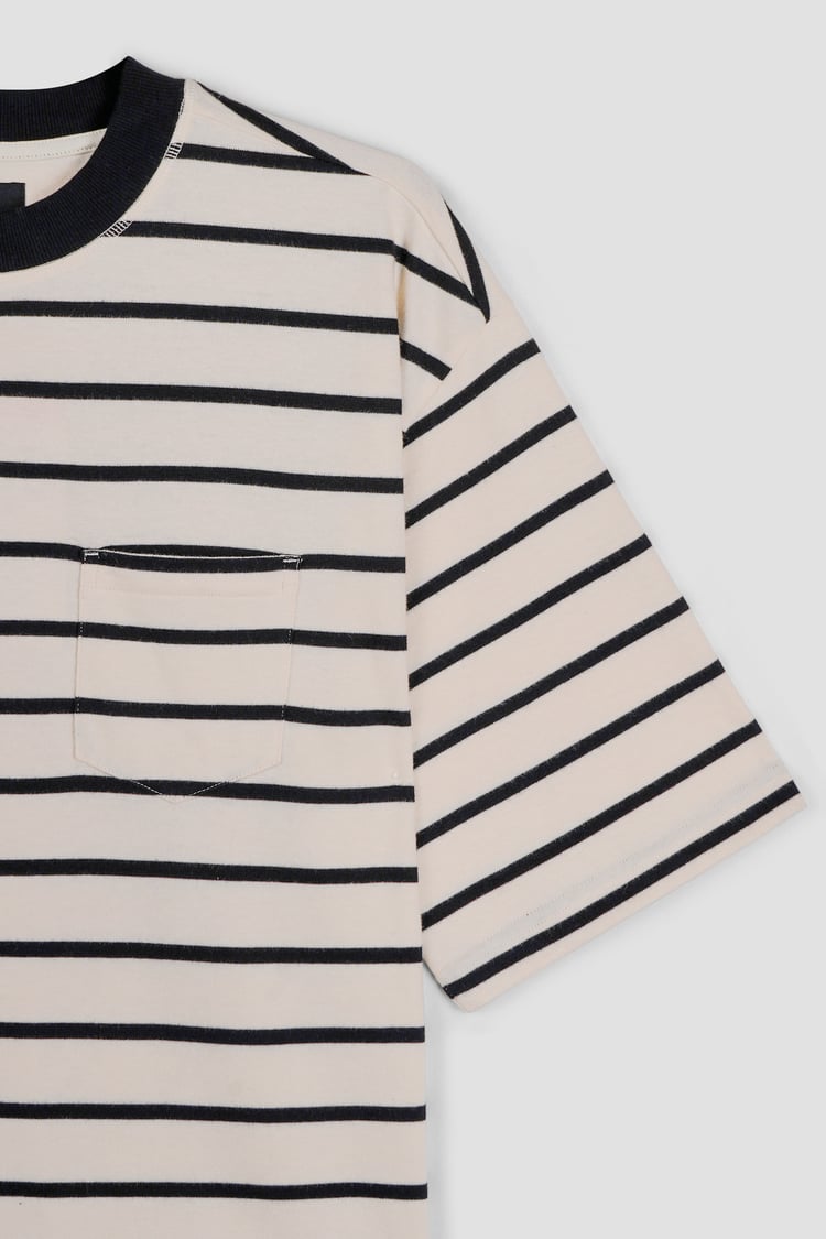 Men's Striped Regular Fit T-Shirt